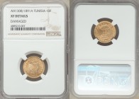 Ali Bey gold 10 Francs AH 1308 (1891)-A XF Details (Damaged) NGC, Paris mint, KM226. AGW 0.0933 oz.

HID09801242017