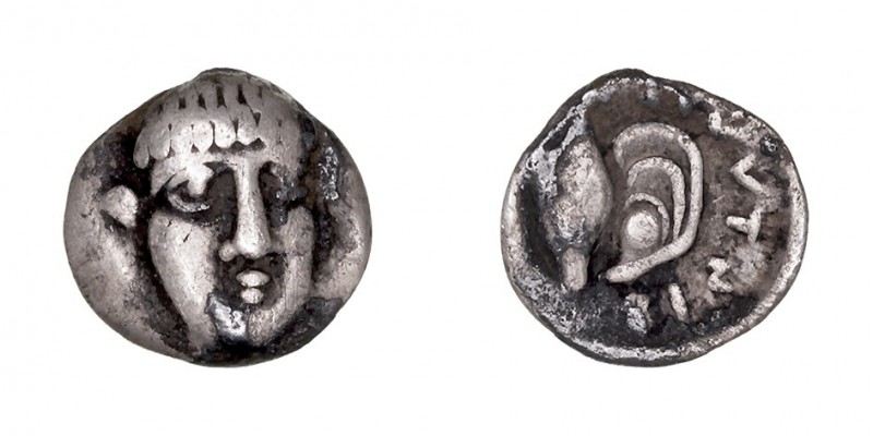 MONEDAS ANTIGUAS
CAMPANIA
Óbolo. AR. (380-350 a.C.). Fistelia. A/Cabeza de fre...