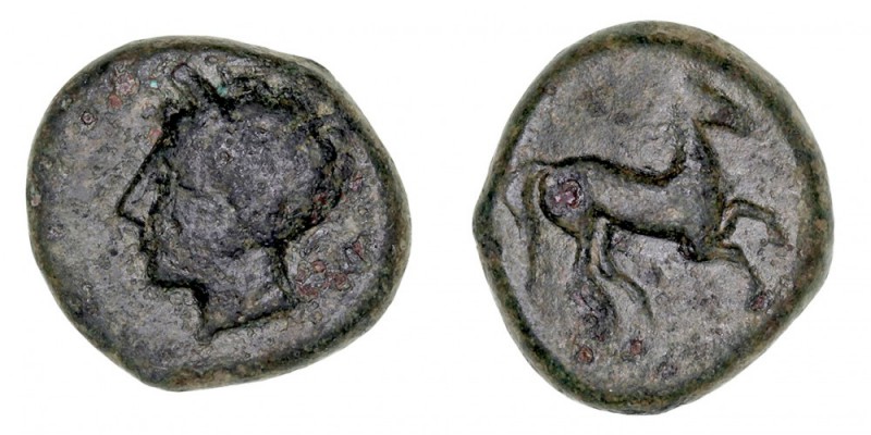 MONEDAS ANTIGUAS
SICILIA
AE-17. (c. 370-340 a.C.). Dominación Cartaginesa. A/C...