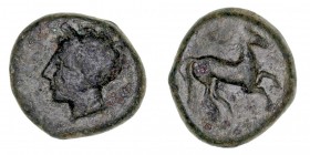 MONEDAS ANTIGUAS
SICILIA
AE-17. (c. 370-340 a.C.). Dominación Cartaginesa. A/Cabeza de Tanit a izq. R/Caballo saltando a der. 5,41 g. CNS III, 3. MB...