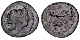 MONEDAS ANTIGUAS
FENICIA
Arados. AE-17. (Siglo II-I a.C.). A/Cabezas de Zeus y Hera a der. R/Proa de nave a izq., letras fenicias. 3,39 g. GC.6004. ...