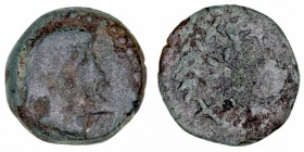 MONEDAS ANTIGUAS
NORTE DE ÁFRICA
Lixus, Larache. AE-17. A/Cabeza de Chusor-Phtah a der. R/Racimo de uvas y ley. 3,39 g. Ma.633. BC-/BC