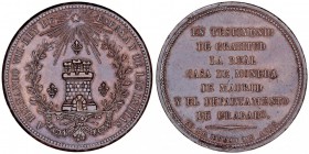 MONARQUÍA ESPAÑOLA
FERNANDO VII
AE-32. Visita a la Real Casa de la Moneda de Madrid, 22 Enero 1825. 18,83 g. Vives 349 vte. metal. Ligerísimo golpe ...