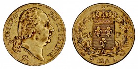 MONEDAS EXTRANJERAS
FRANCIA
Luis XVIII. 20 Francos. AV. 1818 A. 6,44 g. KM.712,1. Golpes, si no MBC