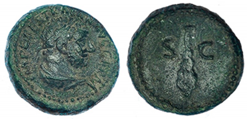 TRAJANO. Cuadrante. Roma (98-117 d.C.). A/ Busto de Hércules con leonté a der. R...