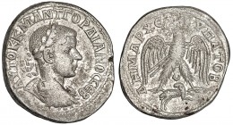GORDIANO III. Tetradracma. Siria (238). R/ Águila de frente con alas extendidas; debajo creciente y carnero. SGI-3779. MBC.
