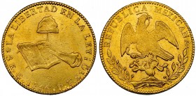MÉXICO. 8 escudos. 1856. Guanajuato PF. KM-383.7. Pequeñas marcas. R.B.O. EBC-.