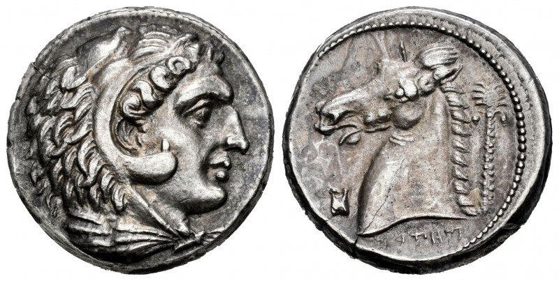 Sicily. Tetradracma. 300-289 a.C. Entella. (Jenkins-484). Anv.: Cabeza de Heracl...