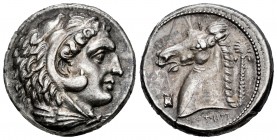 Sicily. Tetradracma. 300-289 a.C. Entella. (Jenkins-484). Anv.: Cabeza de Heracles a derecha, tocado con piel de león. Rev.: Cabeza de caballo a izqui...