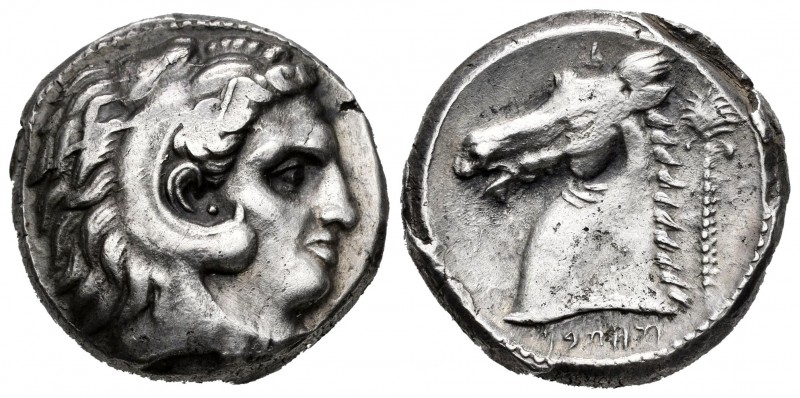 Sicily. Tetradracma. 300-289 a.C. (Jenkins-405). Anv.: Cabeza de Herakles a dere...