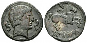 Tanusia. As. 120-20 a.C. Botija (Cáceres). (Abh-894). (Acip-1618). Anv.: Cabeza masculina a derecha entre dos delfines. Rev.: Jinete con lanza a derec...
