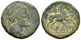 Kili. As. 120-20 a.C. Gilet (Valencia). (Abh-1388). Anv.: Cabeza masculina diademada a derecha, detrás espiga. Rev.: Jinete con palma a derecha, debaj...
