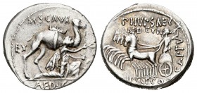 Aemilius. Denario. 58 a.C. Rome. (Ffc-121). (Cal-87b). Anv.: El Rey Aretas de rodillas a derecha con rama de olivo, detrás camello, encima M SCAVR, a ...