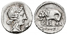 Caecilius. Denario. 81 a.C. Hispania. (Ffc-213). (Craw-374/1). (Cal-289). Anv.: Cabeza diademada de la Piedad a derecha, delante cigüeña. Rev.: Elefan...