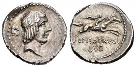 Calpurnius. Denario. 90 a.C. Rome. (Craw-340/1). Anv.: Cabeza laureada de Apolo a derecha, detrás cabeza de caballo. Rev.: Jinete galopando a derecha ...