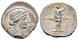 Augustus. Denario. 32-29 a.C. Roma?. (Ffc-53). (Ric-253). (Cal-677). Anv.: Cabeza diademada de Venus a derecha, delante rama de laurel, detrás cuerno ...
