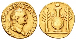 Vespasian. Áureo. 80-81 d.C. Rome. (Ric-Titus 62). (Cal-630a). (Ch-148). Anv.: DIVVS AVGVSTVS VESPASIANVS. Busto laureado a derecha. Rev.: Escudo con ...