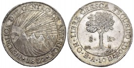 Central American Republic. 8 reales. 1837. Guatemala. BA. (Km-4). Ag. 26,98 g. Faint nick on reverse, otherwise a very attractive piece with beautiful...