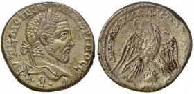Macrino (217-218) Tetradramma di Antiochia in Siria – Busto radiato a d. - R/ Aquila stante di fronte – S.Cop. 368 MI (g 13,59) 
SPL