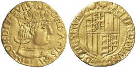 NAPOLI Ferdinando I (1458-1494) Ducato – MIR 64 AU (g 3,44) RR Modesta ondulazione
BB