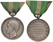 Vittorio Emanuele III (1900-1946) Medaglia Terremoto Calabro Siculo – Opus: Giorgi – MA (g 17,56 – 31 mm) Con nastrino
BB+