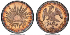 Republic Pair of Certified 8 Reales PCGS, 1) 8 Reales 1876 Go-Fr - MS62, Guanajuato mint, KM377.8, DP-Go56 2) 8 Reales 1882 Ga-FS - UNC Details (Spot ...
