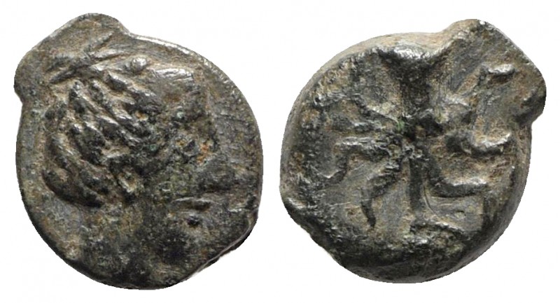 Sicily, Eryx, c. 330-260 BC. Æ (9mm, 1.16g, 12h). Head of female r. R/ Octopus. ...