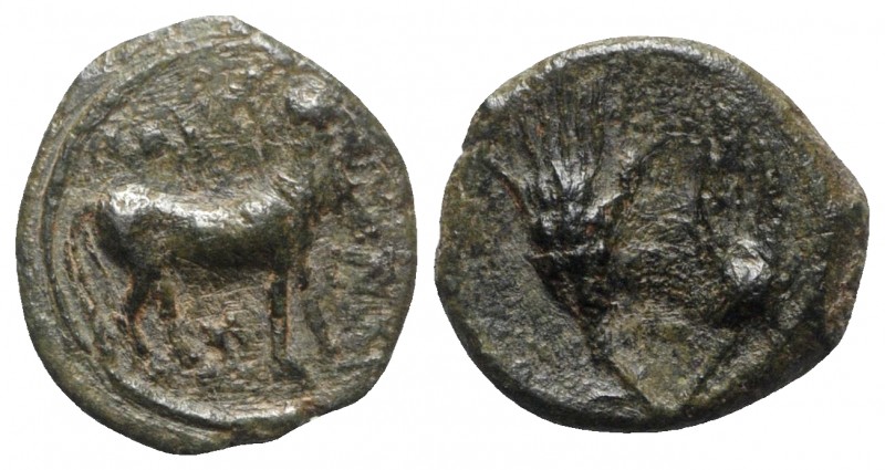 Sicily, Iaitos, c. 330-260 BC BC. Æ (11mm, 0.95g, 9h). Bearded man-faced bull ad...