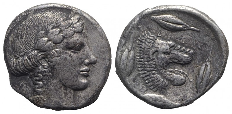 Sicily, Leontinoi, c. 450-440 BC. AR Tetradrachm (25mm, 16.79g, 12h). Laureate h...