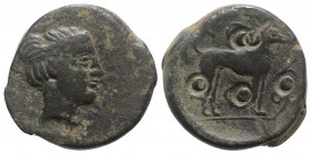 Sicily, Segesta, c. 410-400 BC. Æ Trias (20mm, 8.71g, 12h). Head of a nymph r., hair bound with taenia. R/ Hound standing r., four punched pellets aro...