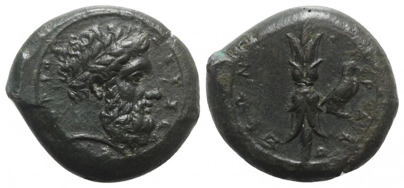 Sicily, Syracuse, c. 339/8-334 BC. Æ Hemidrachm (27mm, 15.96g, 6h). Laureate hea...