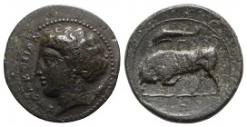 Sicily, Syracuse. Agathokles (317-289 BC). Æ (16mm, 2.79g, 12h), c. 317-310. Head of Arethusa l.; grain-ear behind. R/ Bull butting l.; dolphin and Π ...