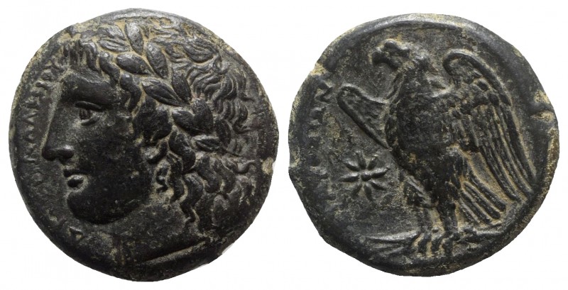 Sicily, Syracuse. Hiketas II (287-278 BC). Æ (24mm, 10.60g, 9h). Laureate head o...