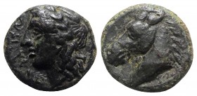 Sicily, Tyndaris, early 3rd century BC. Æ (11.5mm, 2.20g, 3h). Laureate head of Apollo l. R/ Head of horse l. Campana 11; CNS I, 3; SNG ANS -; HGC 2, ...