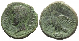 Augustus (27 BC-AD 14). Sicily, Panormus. Æ (21.5mm, 11.22g, 12h). Bare head of Augustus l. R/ Eagle standing facing, head r., with open wings. RPC I ...