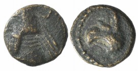 Kings of Parthia, Artabanos IV (c. AD 10-38). Æ Chalkous (10mm, 1.36g, 12h). Ekbatana. Diademed head l. R/ Griffin head l. Sellwood 63.24 (Artabanus I...