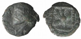 Kings of Parthia, Vardanes I (c. AD 38-46). Æ Chalkous (11mm, 0.96g, 12h). Ekbatana. Diademed bust l. R/ Eagle standing r. on palm branch, with wings ...
