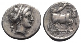 Southern Campania, Neapolis, c. 320-300 BC. AR Didrachm (21mm, 7.54g, 9h). Head of nymph r.; grapes behind; ΣTA below, X to lower r. R/ Man-headed bul...