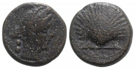 Northern Apulia, Luceria, c. 211-200 BC. Æ Biunx (17mm, 6.95g, 9h). Veiled and wreathed head of Ceres r. R/ Scallop shell. HNItaly 681; SNG ANS 708; S...