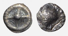 Southern Apulia, Tarentum, c. 480-470 BC. AR Hexas (3mm, 0.05g). Cockle shell. R/ Wheel of four spokes. Vlasto 1118; HNItaly 836. Rare, VF