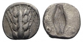 Southern Lucania, Metapontion, c. 470-440 BC. AR Diobol (8mm, 0.72g, 12h). Barley-ear with four grains. R/ Incuse barley grain. Noe 300; HNItaly 1488....