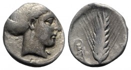 Southern Lucania, Metapontion, c. 400-340 BC. AR Stater (19mm, 7.41g, 12h). Head of Demeter r.; hair in net. R/ Barley ear, leaf to l.; in curl of lea...