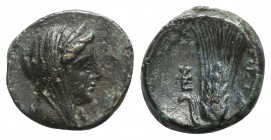 Southern Lucania, Metapontion, c. 300-250 BC. Æ (15mm, 3.29g, 3h). Veiled head of Demeter r., wearing stephane. R/ Grain ear with bud to l.; monogram ...