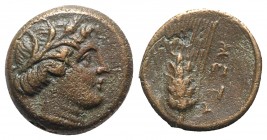 Southern Lucania, Metapontion, c. 300-250 BC. Æ (13mm, 2.82g, 11h). Wreathed head of Demeter r., wearing earring and necklace. R/ Grain ear with leaf ...