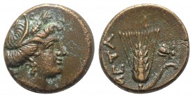Southern Lucania, Metapontion, c. 300-250 BC. Æ (13mm, 2.67g, 9h). Wreathed head of Demeter r. R/ Grain ear with stem to r.; fly to r. Johnston Bronze...