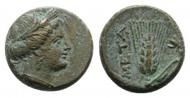 Southern Lucania, Metapontion, c. 300-250 BC. Æ (12.5mm, 3.12g, 3h). Wreathed head of Demeter r. R/ Grain ear with stem to r.; fly to r. Johnston Bron...