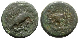 Sicily, Akragas, c. 415-406 BC. Æ Hemilitron (27mm, 13.22g, 7h). Eagle standing r. on hare, head lowered. R/ Crab; crayfish below; six pellets around....