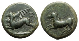 Sicily, "Kainon", c. 360-340 BC. Æ (22mm, 8.92g, 1h). Griffin springing l. R/ Horse prancing l., trailing rein. Campana 1; CNS I, 1; SNG ANS 1169-74 (...
