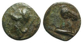 Anonymous, Rome, c. 260 BC. Æ (16mm, 3.98g, 3h). Helmeted head of Minerva l. R/ Head of bridled horse r. Crawford 17/1a; HNItaly 278; RBW 12. Green pa...