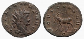 Gallienus (253-268). Antoninianus (21mm, 3.58g, 6h). Rome, 267-8. Radiate, draped and cuirassed bust r. R/ Goat standing l.; ς. RIC V 207; MIR 730p; R...
